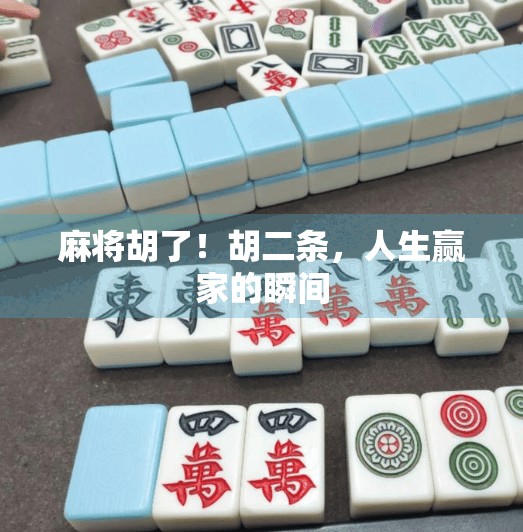 麻将胡了!胡二条,人生赢家的瞬间 麻将胡了!胡二条,人生赢家的瞬间