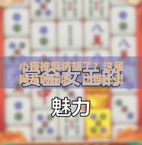 小猫推麻将胡了？这届网友的脑洞，比猫还灵！