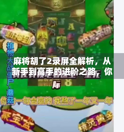 麻将胡了2录屏全解析,从新手到高手的进阶之路,你真的看懂了吗? 麻将胡了2录屏全解析,从新手到高手的进阶之路,你真的看懂了吗?