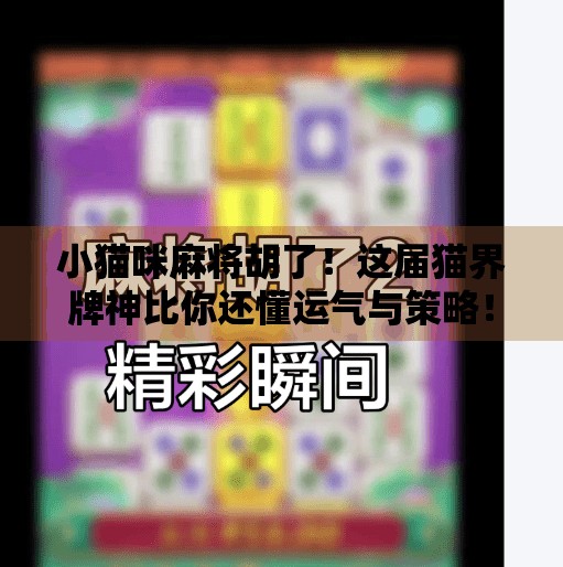 小猫咪麻将胡了!这届猫界牌神比你还懂运气与策略! 小猫咪麻将胡了!这届猫界牌神比你还懂运气与策略!
