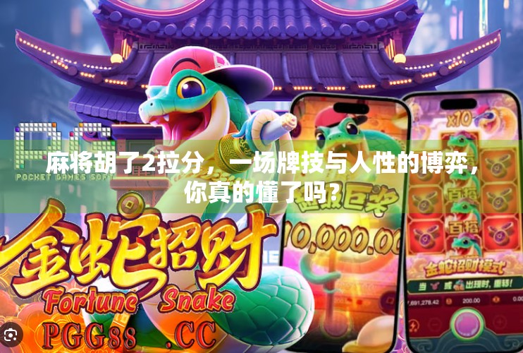 麻将胡了2拉分,一场牌技与人性的博弈,你真的懂了吗? 麻将胡了2拉分,一场牌技与人性的博弈,你真的懂了吗?
