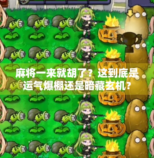 麻将一来就胡了?这到底是运气爆棚还是暗藏玄机? 麻将一来就胡了?这到底是运气爆棚还是暗藏玄机?