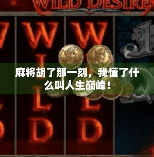 麻将胡了那一刻,我懂了什么叫人生巅峰! 麻将胡了那一刻,我懂了什么叫人生巅峰!