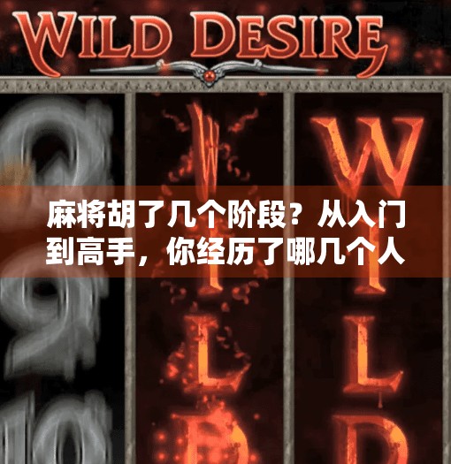 麻将胡了几个阶段?从入门到高手,你经历了哪几个人生境界? 麻将胡了几个阶段?从入门到高手,你经历了哪几个人生境界?