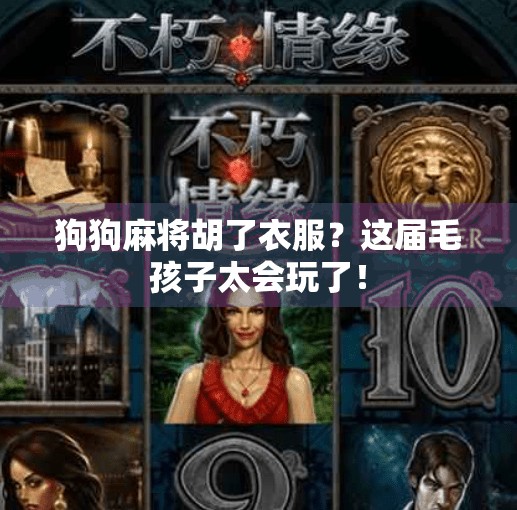 狗狗麻将胡了衣服?这届毛孩子太会玩了! 狗狗麻将胡了衣服?这届毛孩子太会玩了!