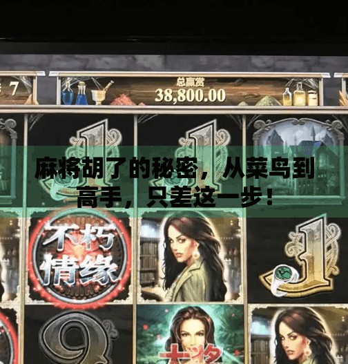 麻将胡了的秘密,从菜鸟到高手,只差这一步! 麻将胡了的秘密,从菜鸟到高手,只差这一步!