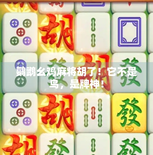 鹦鹉幺鸡麻将胡了！它不是鸟，是牌神！