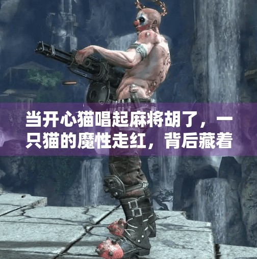 当开心猫唱起麻将胡了,一只猫的魔性走红,背后藏着什么社交密码?