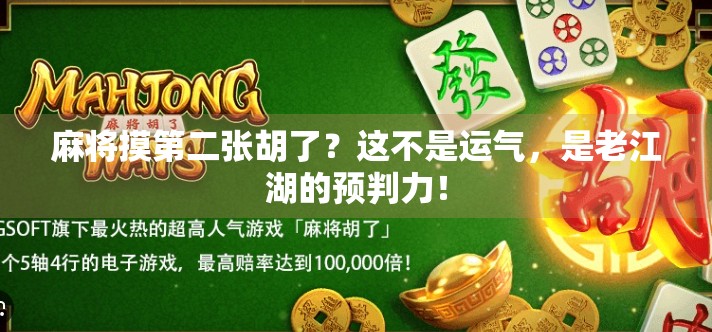 麻将摸第二张胡了？这不是运气，是老江湖的预判力！