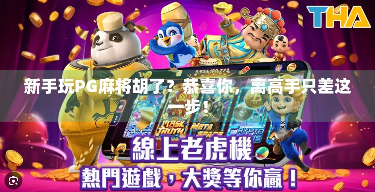 新手玩PG麻将胡了?恭喜你,离高手只差这一步!