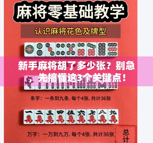 新手麻将胡了多少张?别急,先搞懂这3个关键点! 新手麻将胡了多少张?别急,先搞懂这3个关键点!